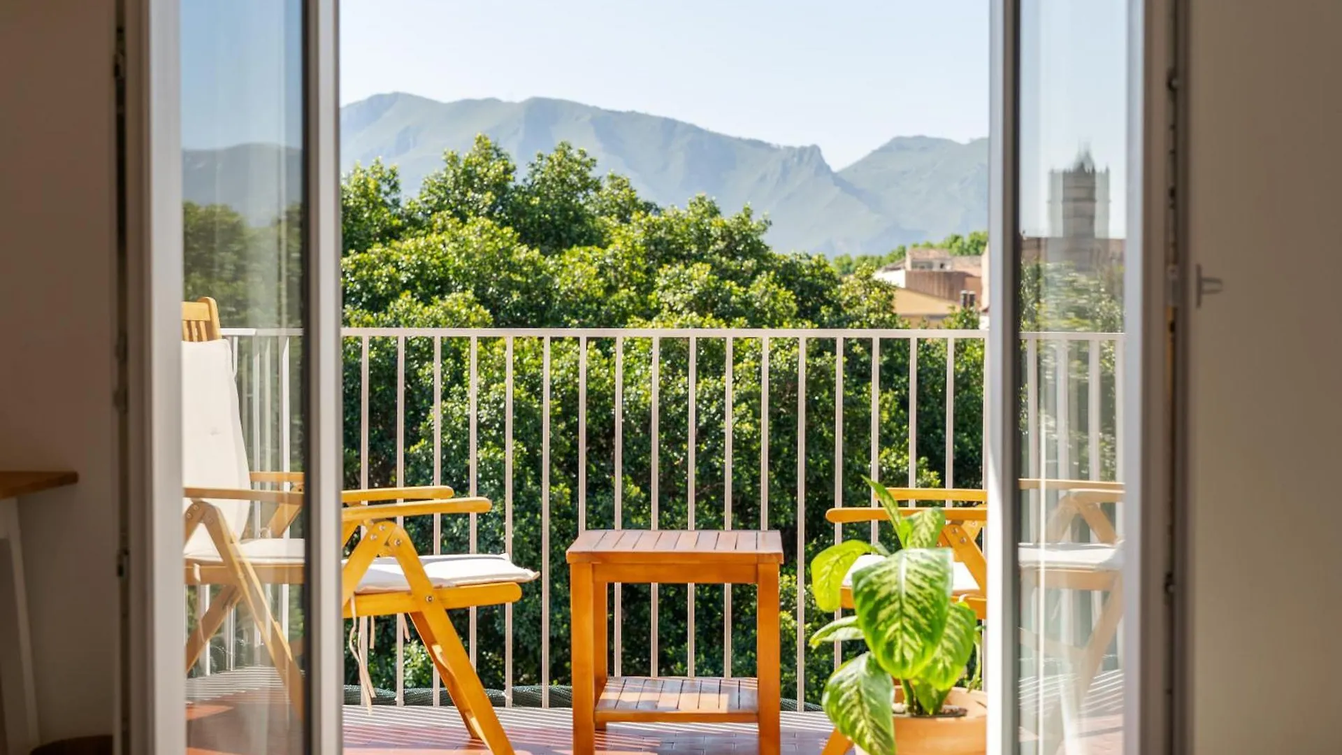 Stefy'S Home #Cattedrale Palermo Guest house